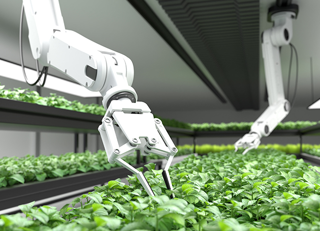 Eerald VC - Agri-tech 