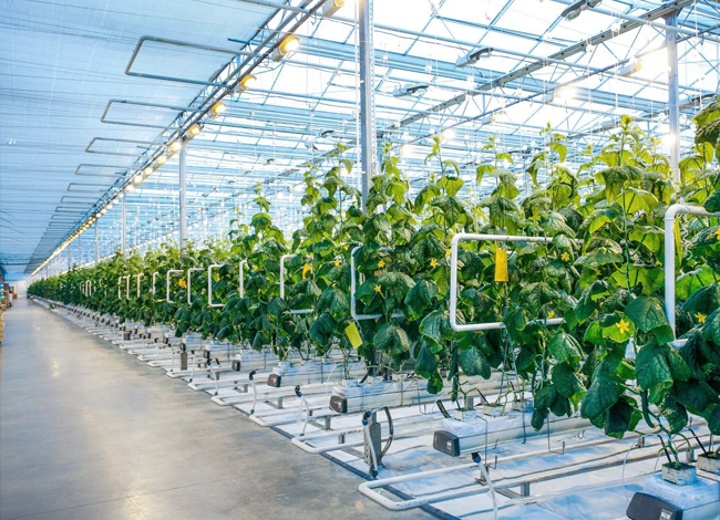 Eerald VC - Sustainable food innovation